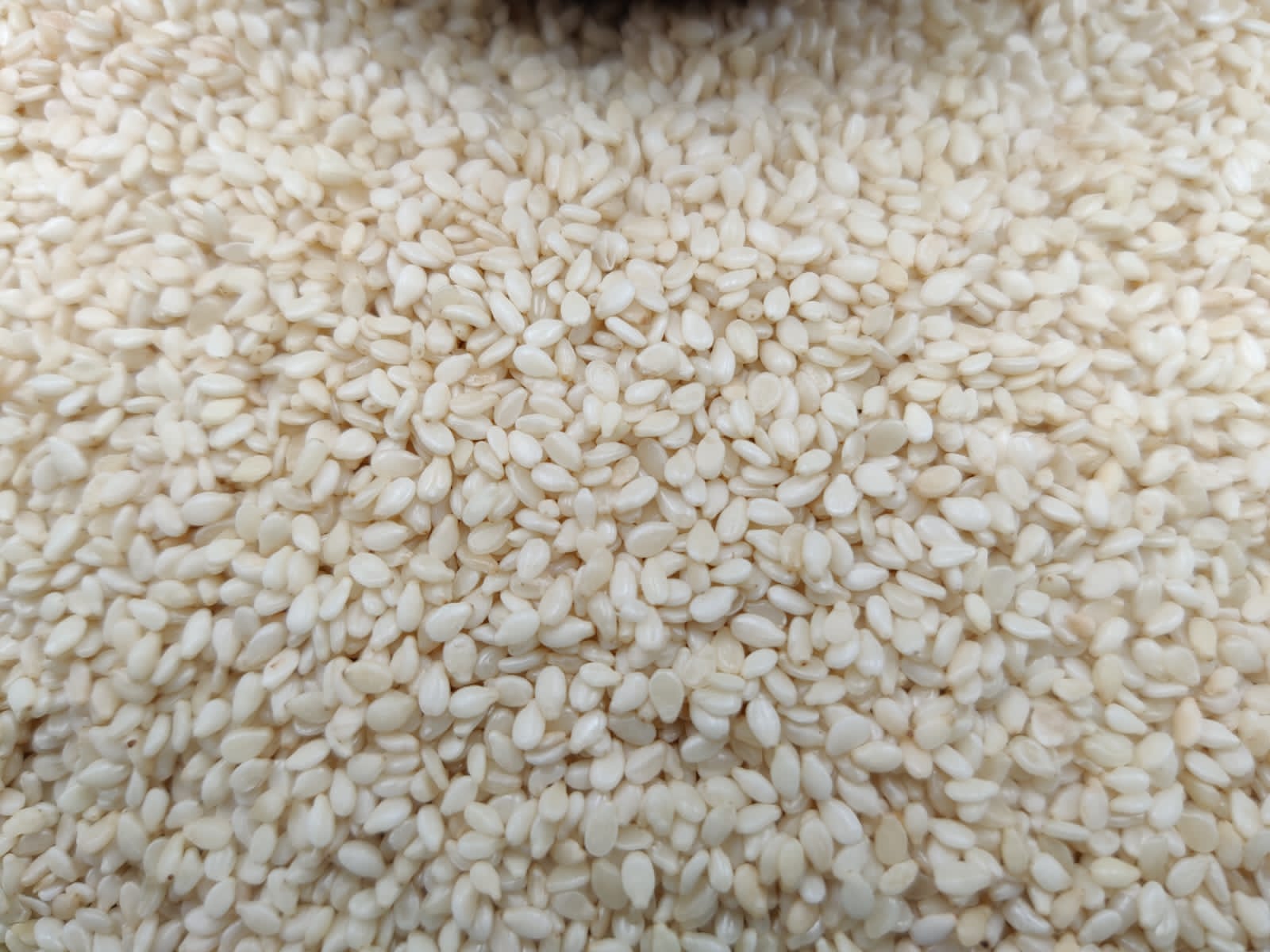  We have best quality hurled  white sesame seeds to sell 00226 54331793 