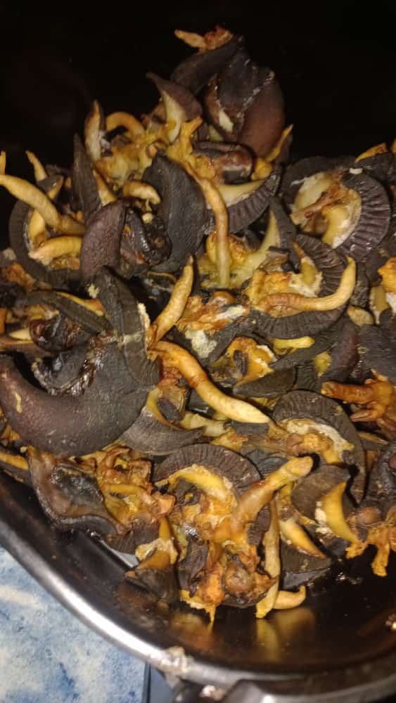 Food Stuffs 