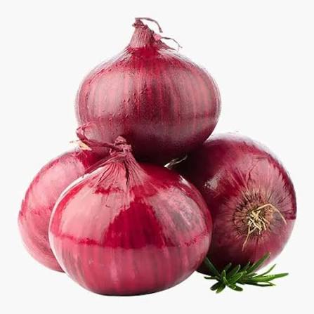 Onion bulb available export