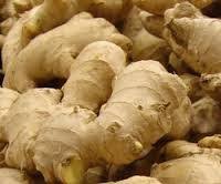 Ginger