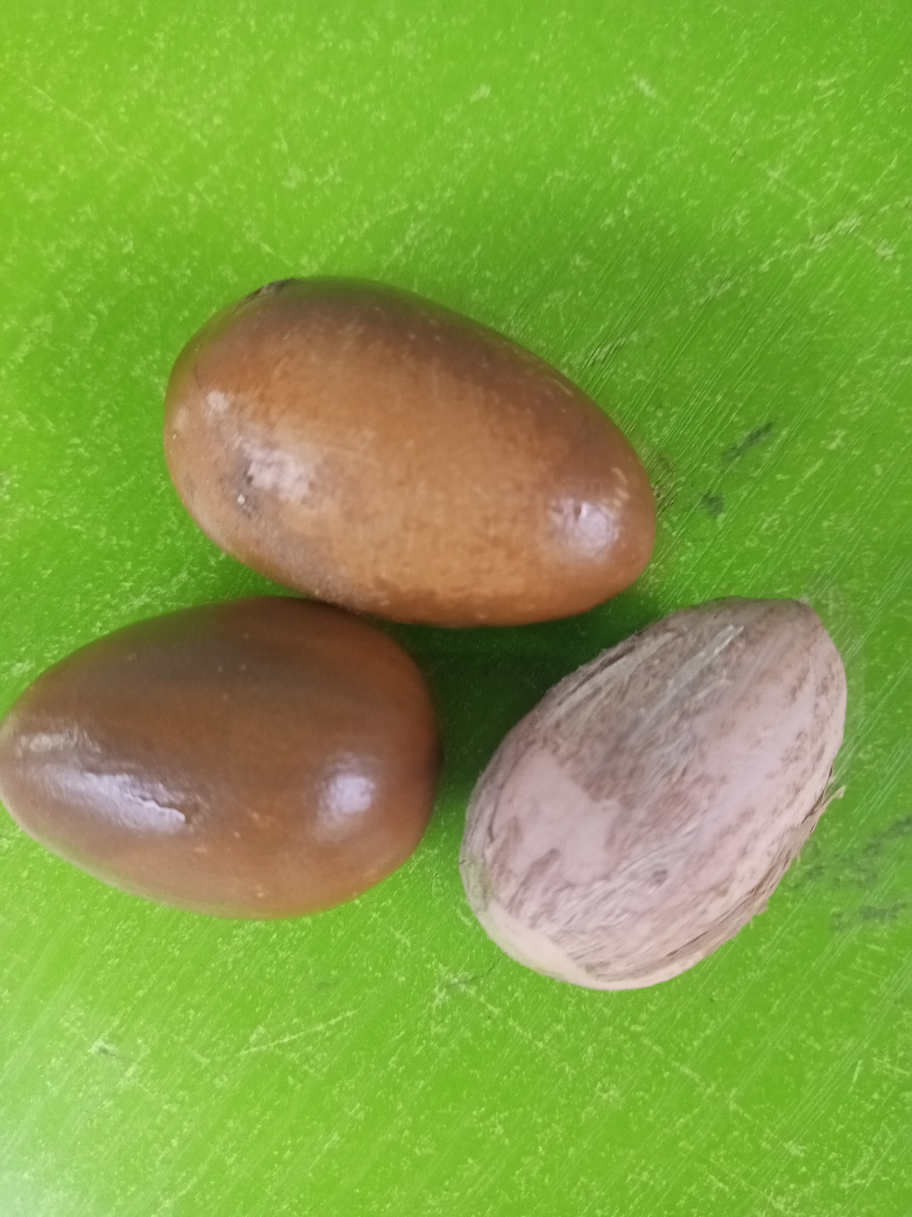 Shea Butter, Cow Horn, Boaba Powder