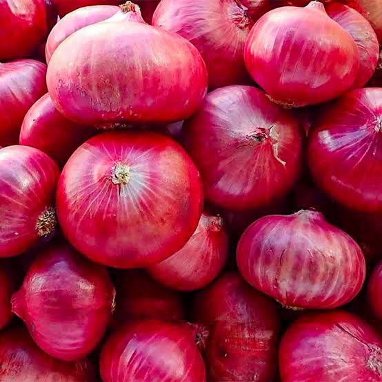 Onion bulb for bulk sale