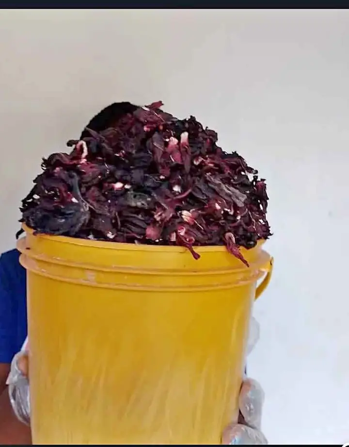  Zobo Leafs (Hibiscus) 