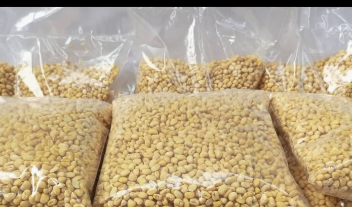  Egusi 