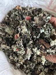 Stone Flower For Export (Fob)