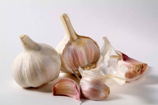 Garlic bulb export grade